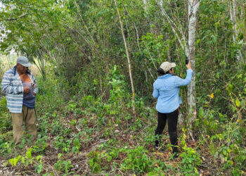 Impulsan la sostenibilidad y conservación de los recursos naturales en Petén