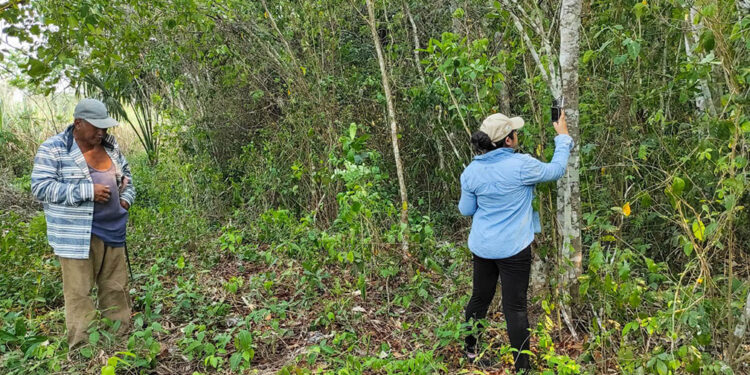 Impulsan la sostenibilidad y conservación de los recursos naturales en Petén