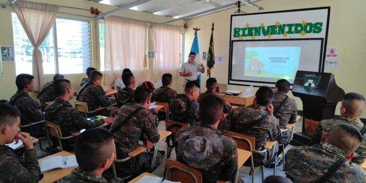 Instruyen sobre crianza de conejos a soldados en apoyo a su desarrollo
