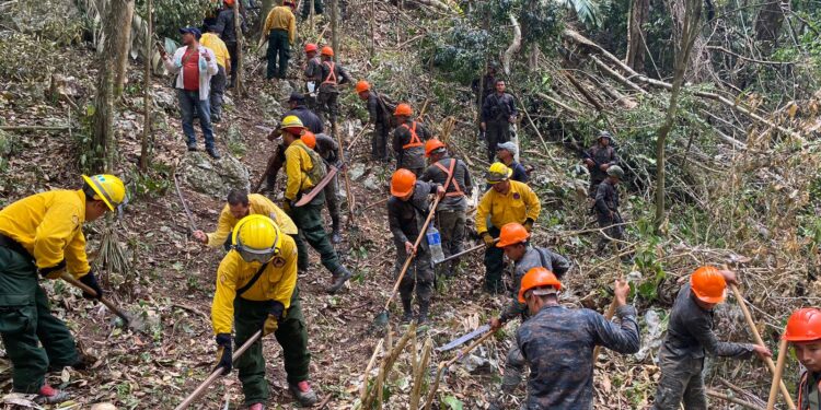 Mantienen acciones para prevenir incendios forestales en Petén