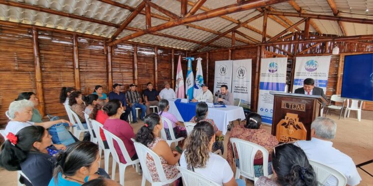 Molinos manuales empoderan a emprendedoras de Chimaltenango