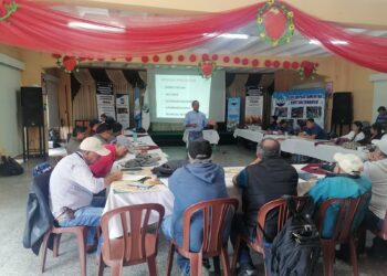 Plan profiláctico para proteger la avicultura familiar