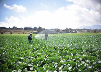 Razones de la Política Nacional de Riego 2024-2033