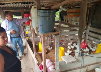 Prácticas avícolas responsables y sostenibles son impartidas en Poptún, Petén