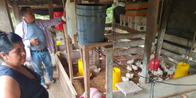 Prácticas avícolas responsables y sostenibles son impartidas en Poptún, Petén