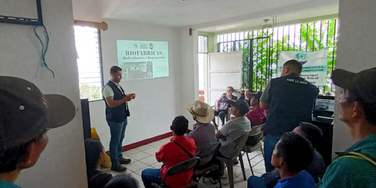Preparan biofertilizante en Zacapa