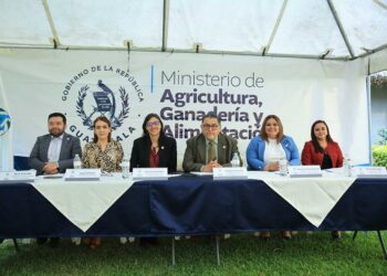 Presentan lineamientos estratégicos (2024-2028) “Una nueva siembra para el agro de Guatemala”
