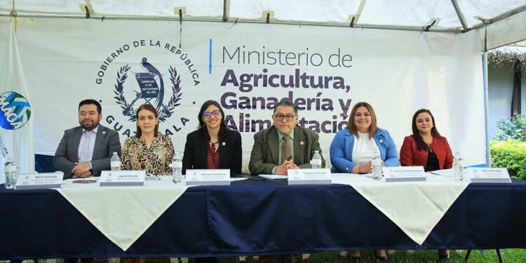 Presentan lineamientos estratégicos (2024-2028) “Una nueva siembra para el agro de Guatemala”