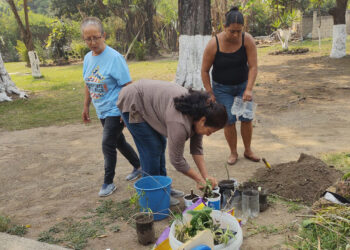 Producción de hortalizas beneficia a familias de San Miguel Petapa