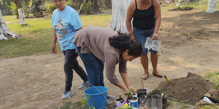 Producción de hortalizas beneficia a familias de San Miguel Petapa
