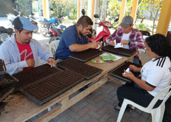 Producción de pilones y diversificación de cultivos contribuyen al desarrollo en Petén