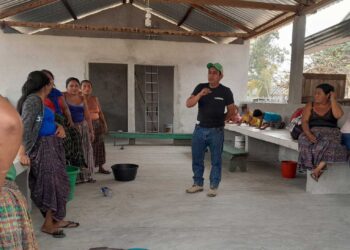 Productores aprenden elaboración de concentrado orgánico