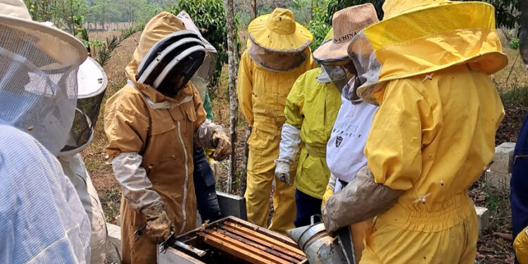 Productores de miel de Petén fortalecen sus capacidades y conocimientos