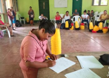 Promueven avicultura familiar entre productoras de Ixcán, Quiché