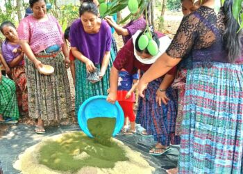 Promueven elaboración de concentrados artesanales en Petén