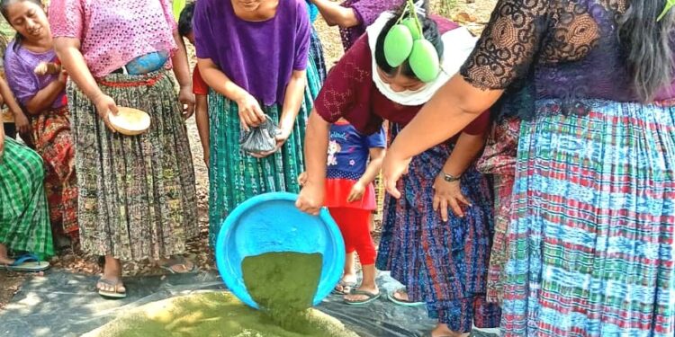 Promueven elaboración de concentrados artesanales en Petén