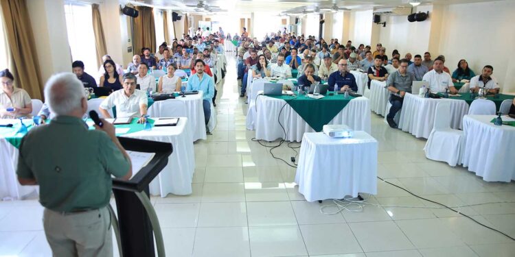 Promueven ganadería sostenible y rentable en Petén