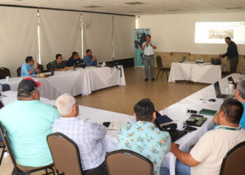 Promueven prácticas de ganadería sostenible en Petén