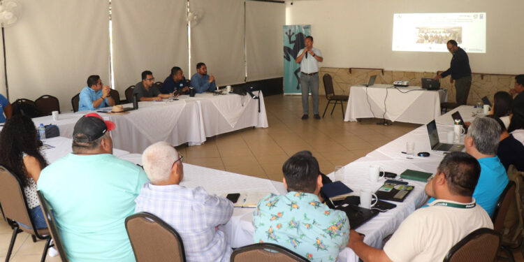 Promueven prácticas de ganadería sostenible en Petén