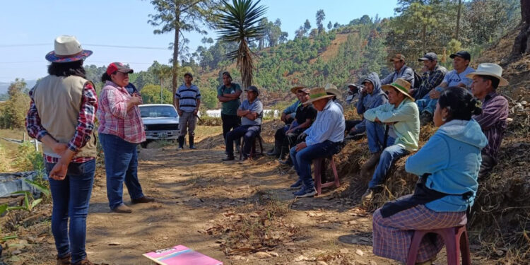 Promueven uso de abono orgánico en Sumpango, Sacatepéquez