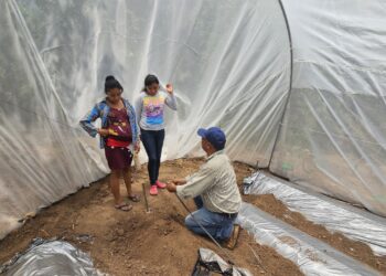 Promueven uso de fertirriego en Chiquimula