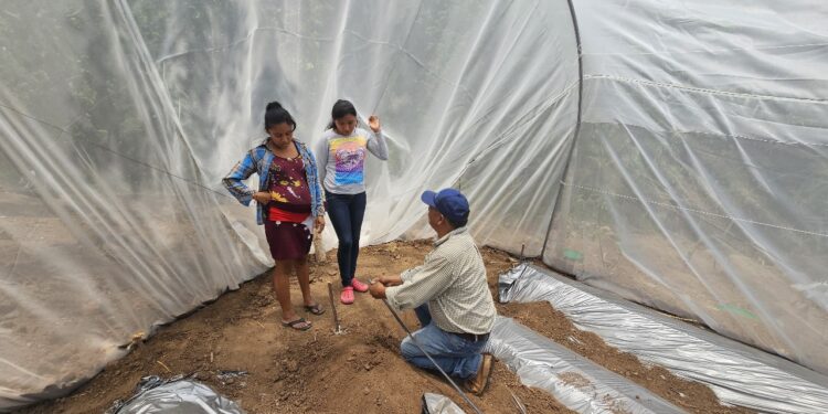 Promueven uso de fertirriego en Chiquimula