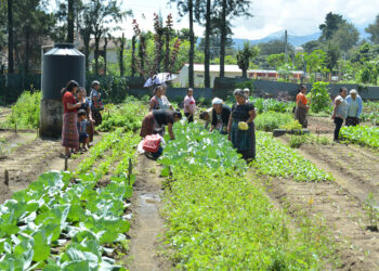 Redes de comercialización de agricultura familiar trazan rutas para el desarrollo