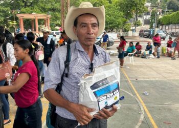 Semillas fortificadas reactivarán producción agrícola en Camotán, Chiquimula