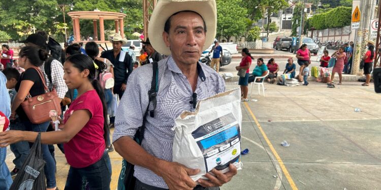 Semillas fortificadas reactivarán producción agrícola en Camotán, Chiquimula