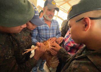 Soldados reciben capacitación sobre temas avícolas en Petén