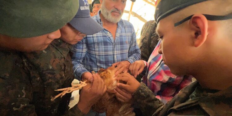 Soldados reciben capacitación sobre temas avícolas en Petén