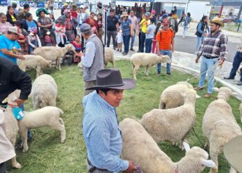 Totonicapán celebra el festival del cordero