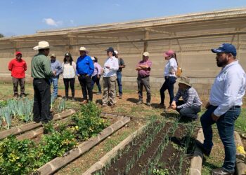 MAGA y USAC  intercambian experiencias en producción agropecuaria