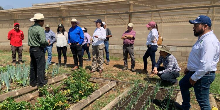 MAGA y USAC  intercambian experiencias en producción agropecuaria