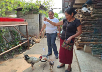 Vecinas de Quiché aprenden buenas prácticas para la crianza de aves de traspatio