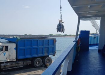 Velan por el cumplimiento de regulaciones internacionales en la pesca de atún