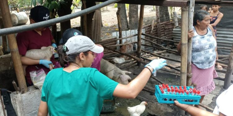 Veterinarios realizan jornada de salud animal en Escuintla