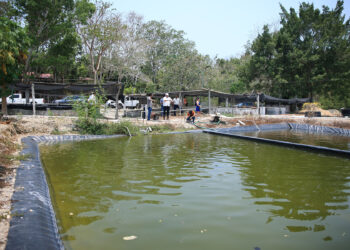 Visitan Centro Ecoproductivo Agropecuario de Petén