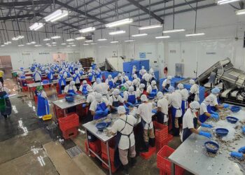 Visitan plantas de cultivo y procesamiento de camarón