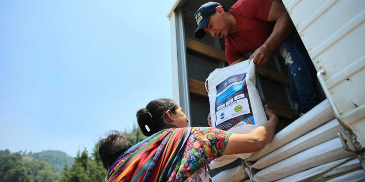 Con ceremonia maya bendicen semillas para la siembra 2024