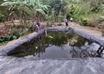 Conozca cómo capacitarse para hacer Acuicultura Familiar