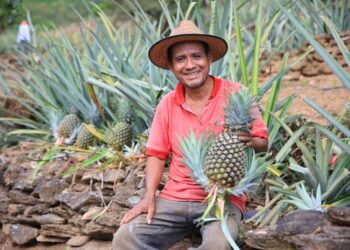 Conozca las frutas más populares que se producen en Guatemala