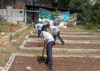 Sigue la implementación de los Huertos Escolares Pedagógicos