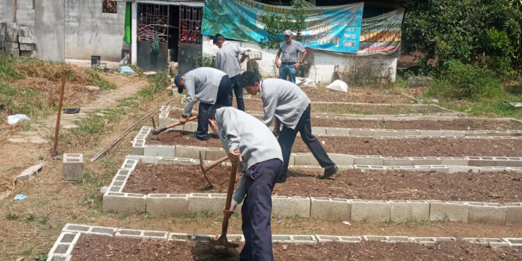 Sigue la implementación de los Huertos Escolares Pedagógicos