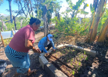 Dan seguimiento a manejo de huertos familiares en San Andrés, Petén para fortalecer sus capacidades