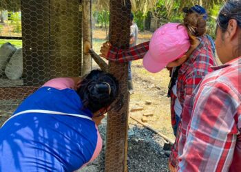 En Petén promueven la construcción de infraestructuras avícolas