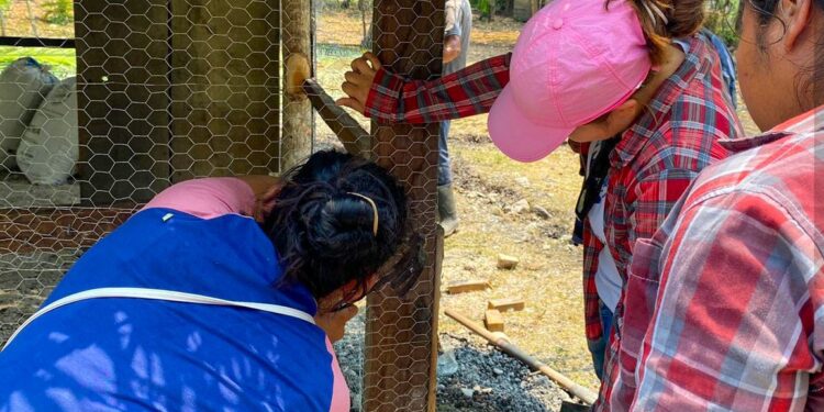 En Petén promueven la construcción de infraestructuras avícolas