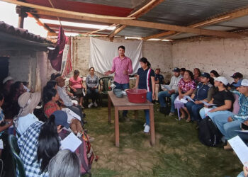 Imparten taller de sanidad avícola en Quiché