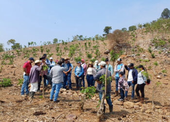Zacapa: velan por el bienestar de los huertos familiares y la salud del suelo