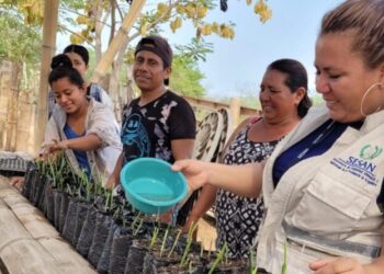 Implementan vivero de Ixbut en El Jícaro para fomentar la lactancia materna